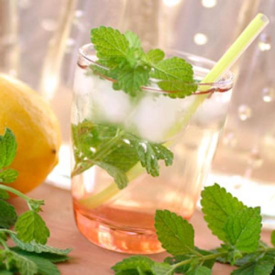 Rezeptbild: Zitronenmelisse-Sirup