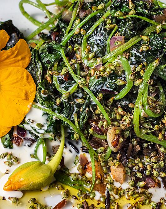 Rezeptbild: Kapuzinerkresse-Gemüse mit Breitwegerichfrüchten