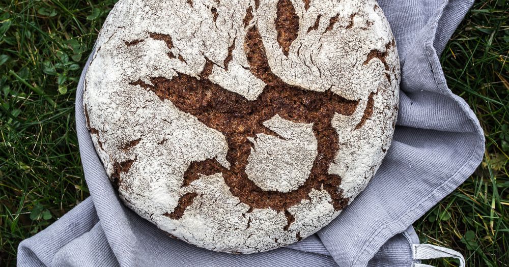 Rezeptbild: Champagnerroggen-Laib