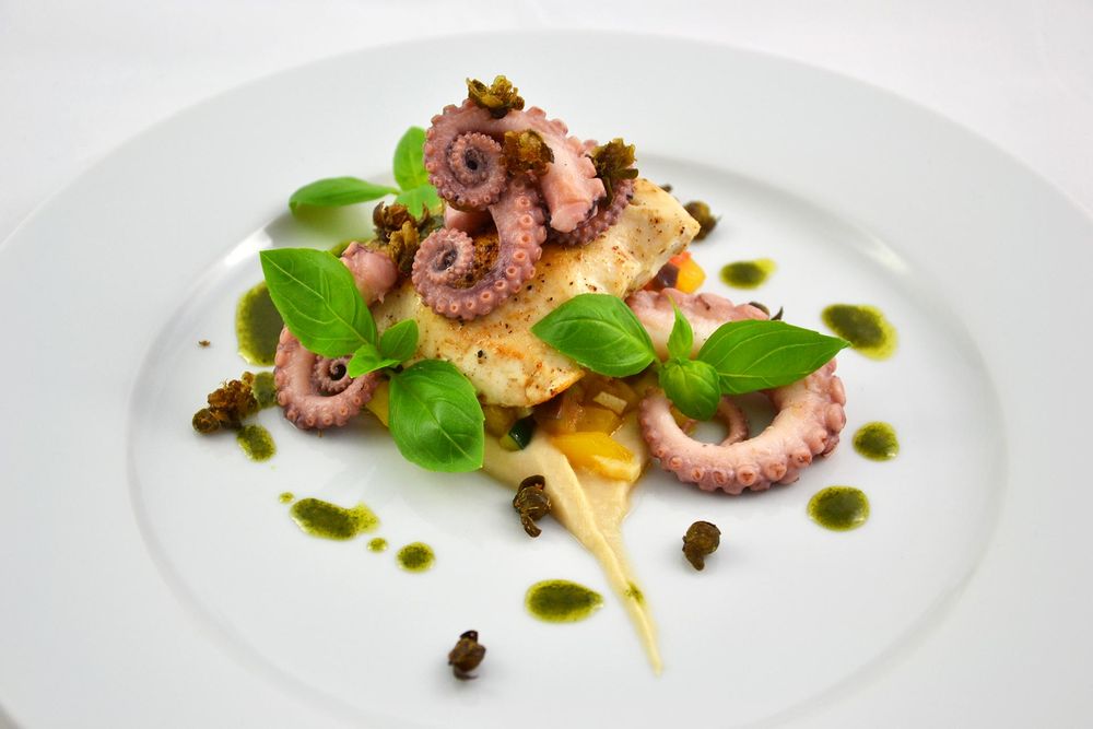 Rezeptbild: Hähnchen - Krake - Ratatouille - Bohnenpüree