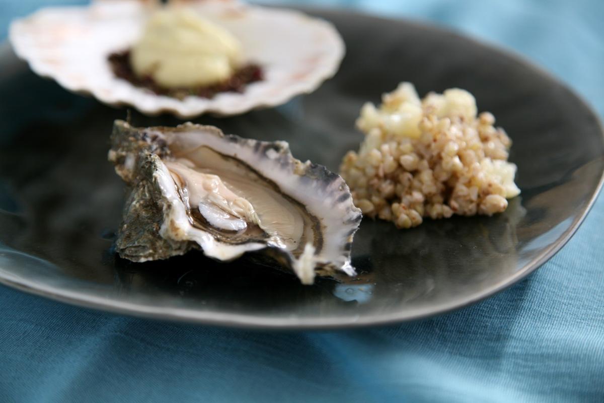 Rezeptbild: Blumenkohl Auster Buchweizen