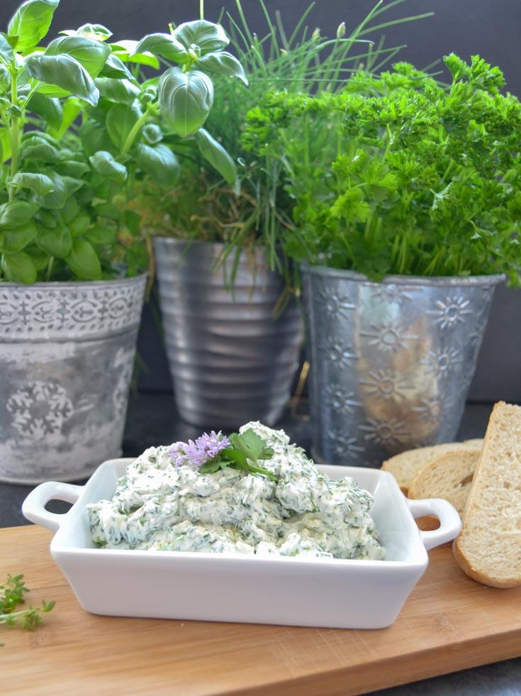 Rezeptbild: Frischkäse Dip mit Gartenkräutern 