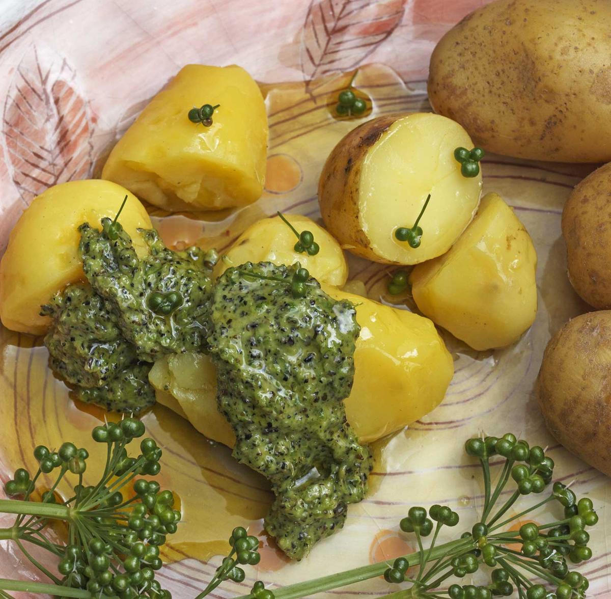 Rezeptbild: Pellkartoffeln mit Bärlauchfrüchte-Pesto