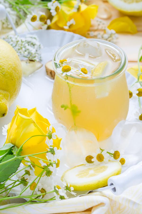 Rezeptbild: Switchel - der Sommer Drink 2017