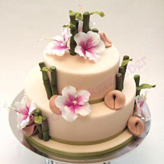 Rezeptbild: Asia Style Torte