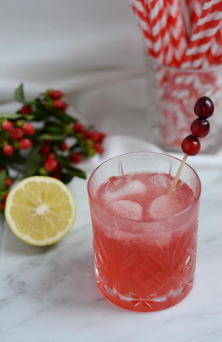 Rezeptbild: Cranberry-Mule