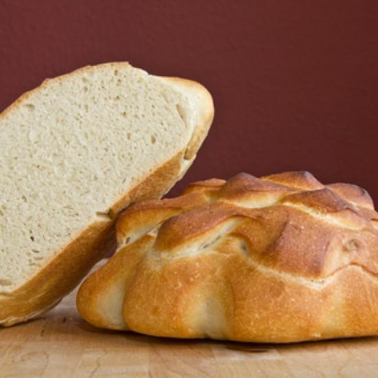 Rezeptbild: L'Artichaut
