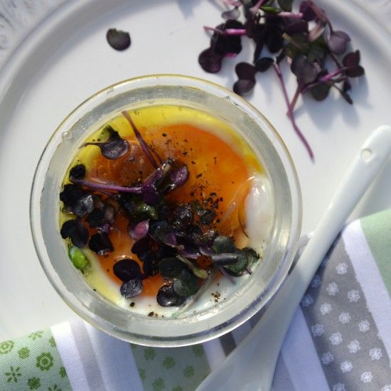 Rezeptbild: Ei mit Lachs und Champignons
