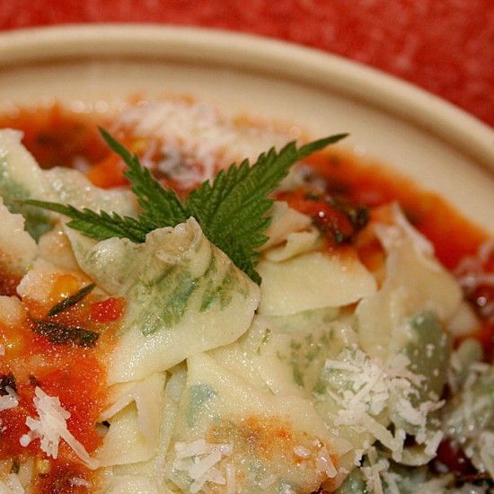 Rezeptbild: Pasta mit Brennnessel-Muster