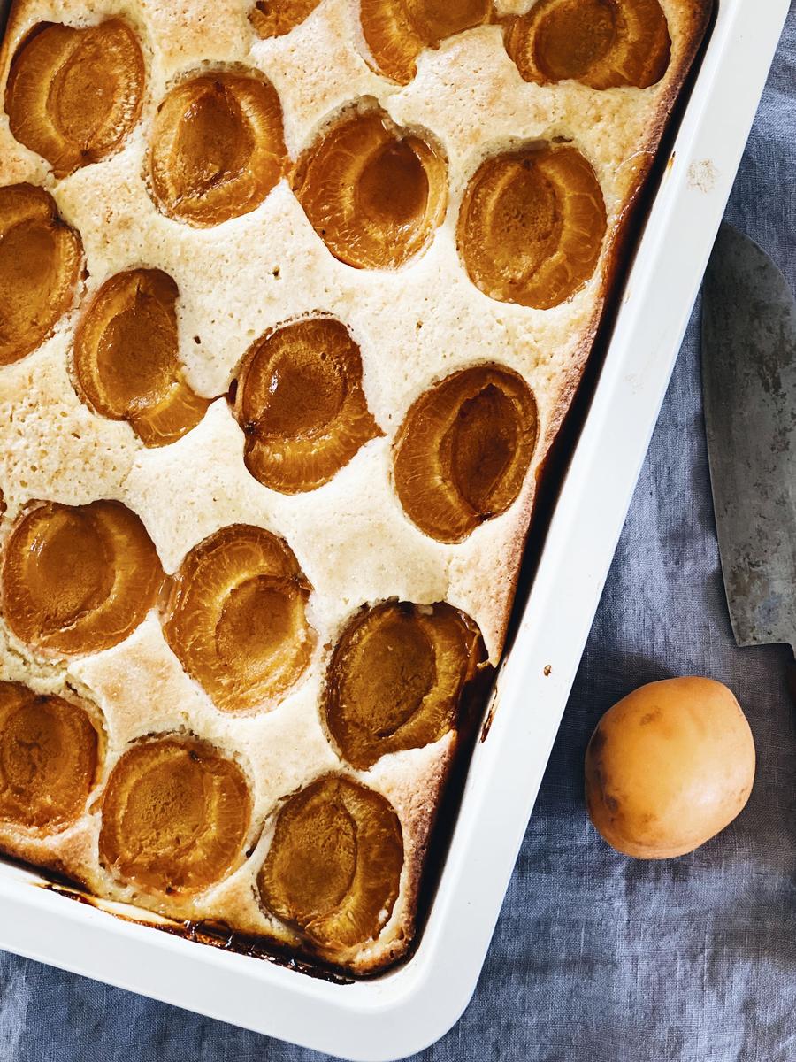 Rezeptbild: EINFACHER APRIKOSENKUCHEN