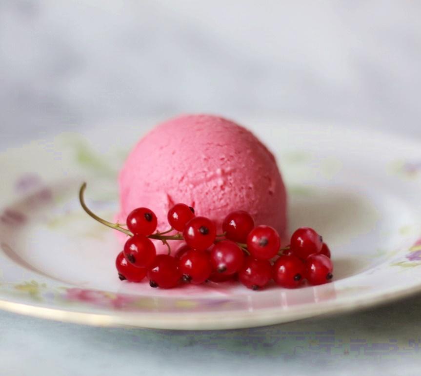 Rezeptbild: Johannisbeer-Milcheis