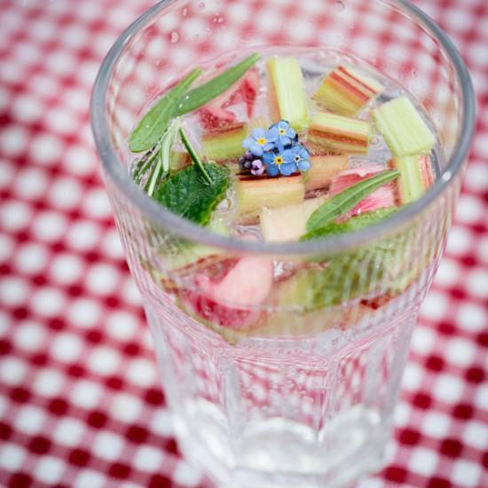 Rezeptbild: Kräuter-Rhabarber-Limo