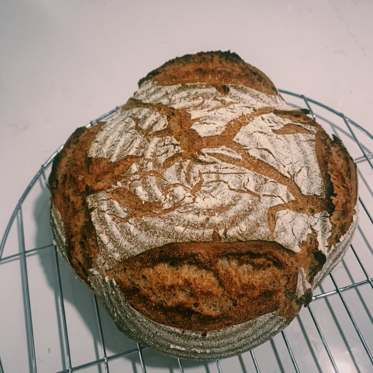 Rezeptbild: Roggenmischbrot