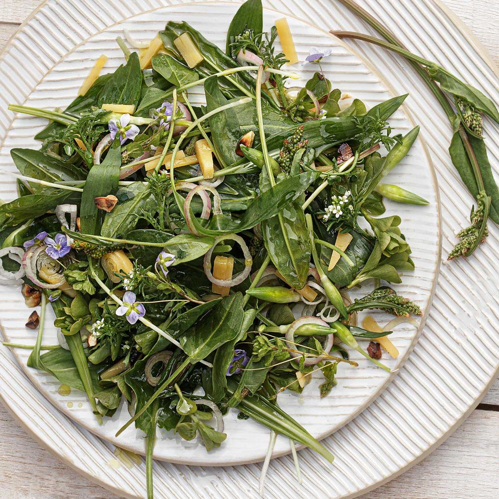 Rezeptbild: Sauerampfersalat mit Bärlauch und Pfennigkraut