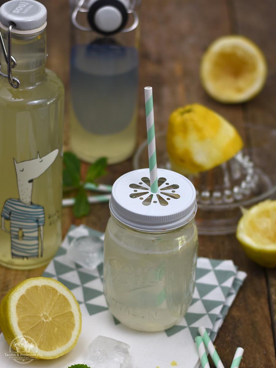 Rezeptbild: Ingwer-Zitronen-Brause