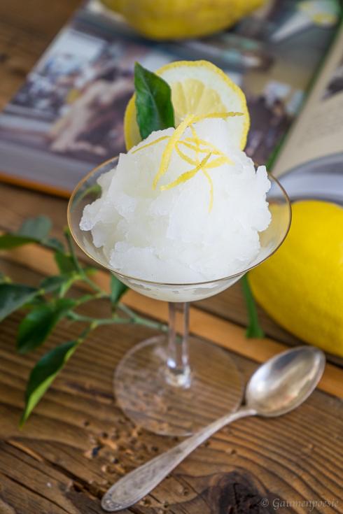 Rezeptbild: Zitronen-Granita 