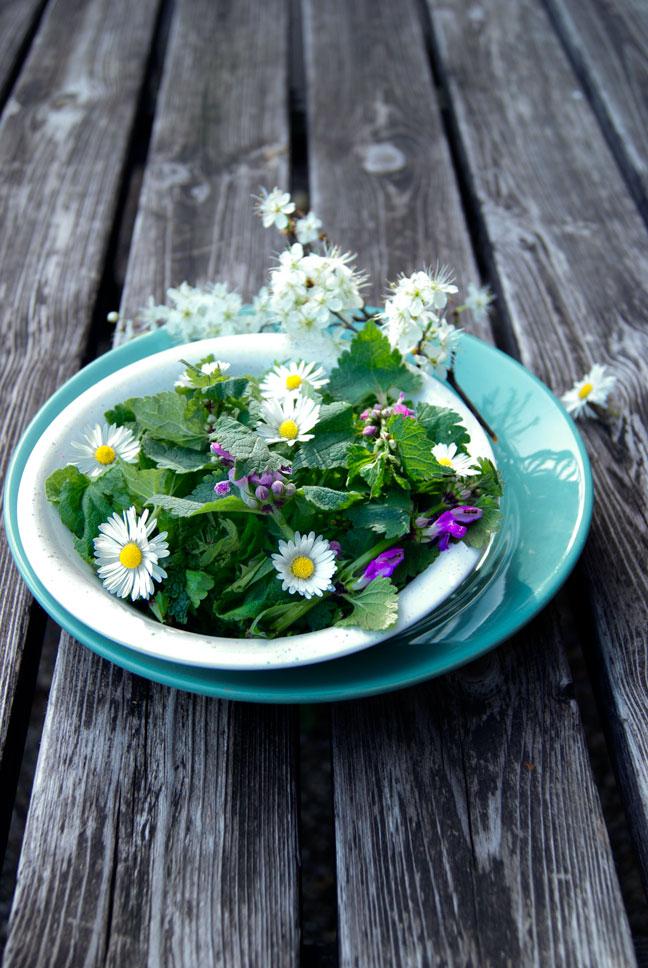 Rezeptbild: Wildkräutersalat