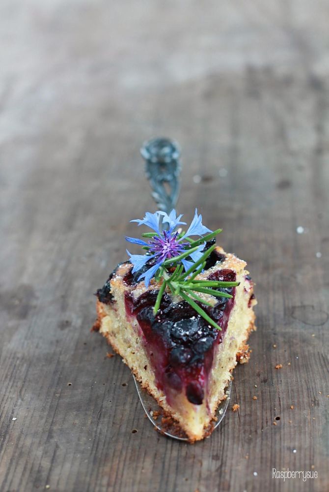 Rezeptbild: Veganer Olivenölkuchen mit Blaubeeren