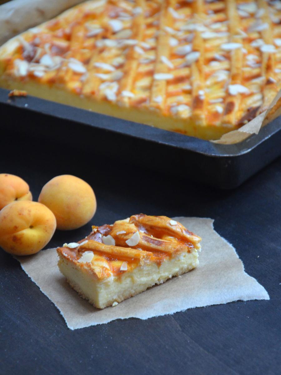 Rezeptbild: Ricotta-Aprikosen-Kuchen