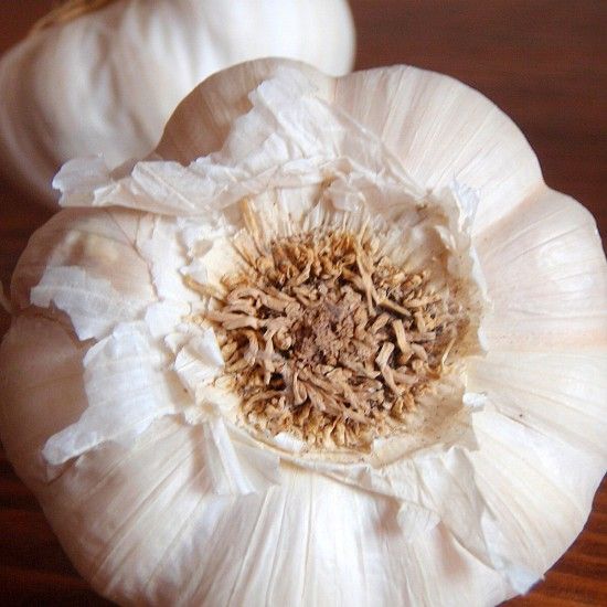 Rezeptbild: confierter Knoblauch