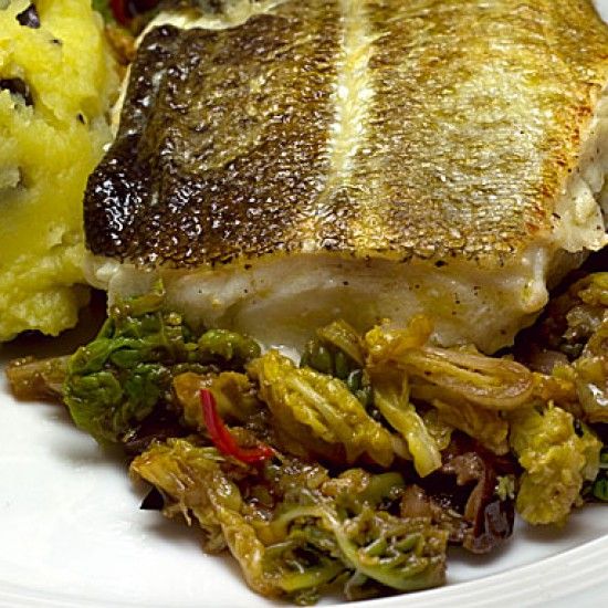 Rezeptbild: Kabeljau auf mediterranem Wirsing