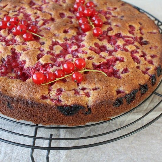 Rezeptbild: Johannisbeer-Kuchen