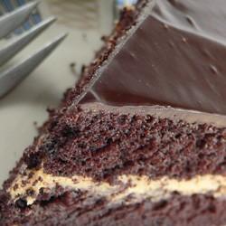 Rezeptbild: Schokoladentorte mit Erdnussbuttercreme