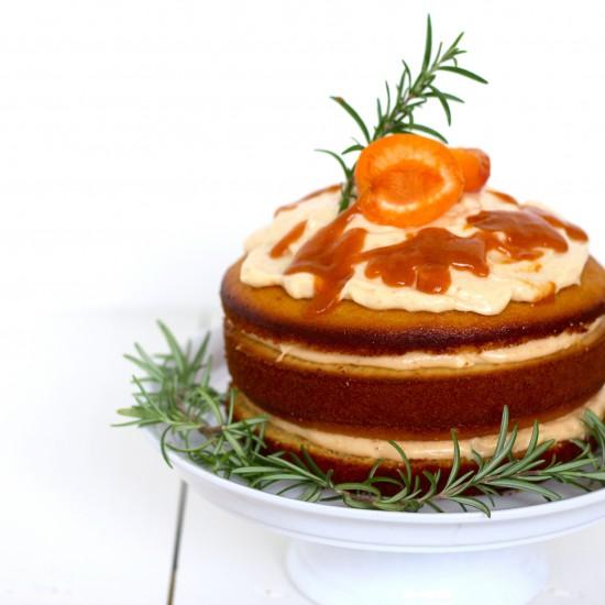 Rezeptbild: Aprikosentorte