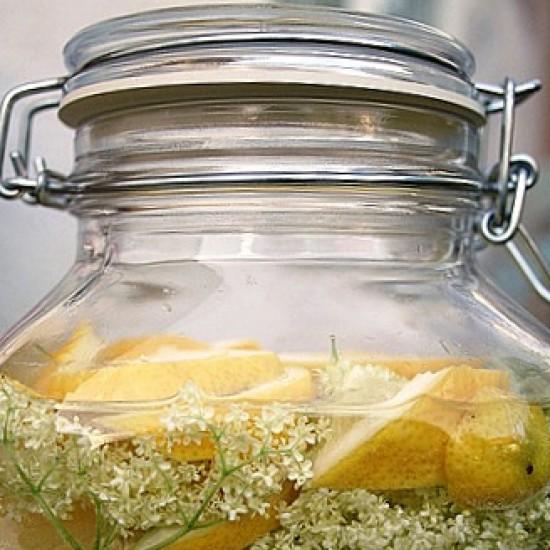 Rezeptbild: Selbstangesetzter Holunderblütensekt