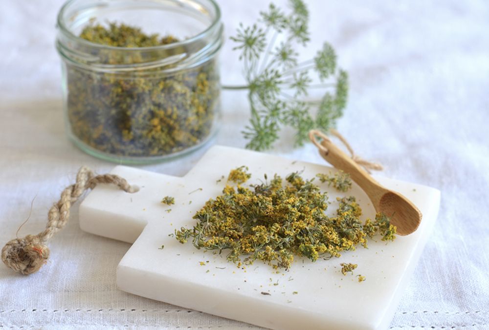Rezeptbild: Fenchelblüten trocknen