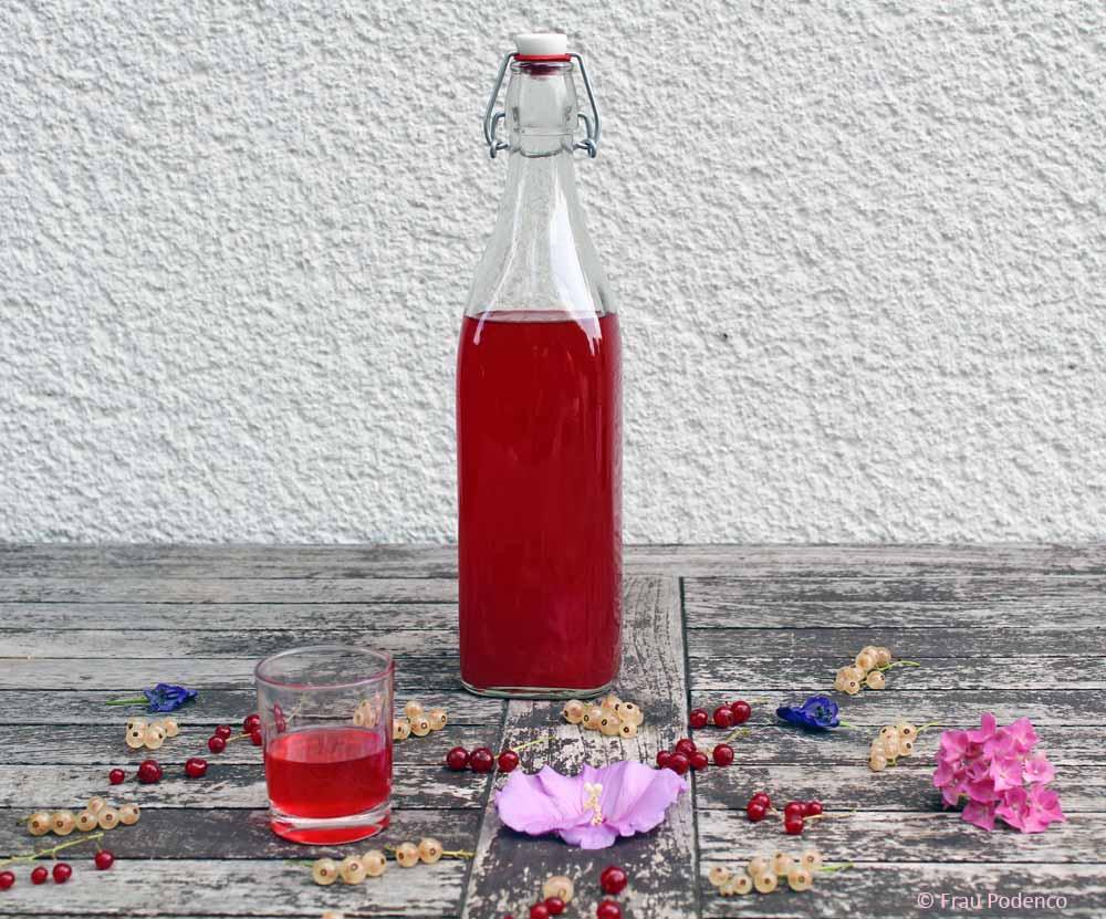 Rezeptbild: Johannisbeer-Likör ganz einfach selbst gemacht