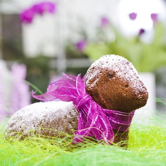 Rezeptbild: Osterlamm