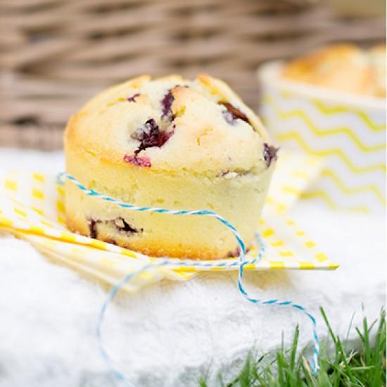 Rezeptbild: Blaubeer-Muffins