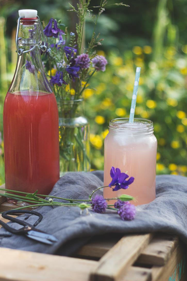 Rezeptbild: Rhabarbersirup