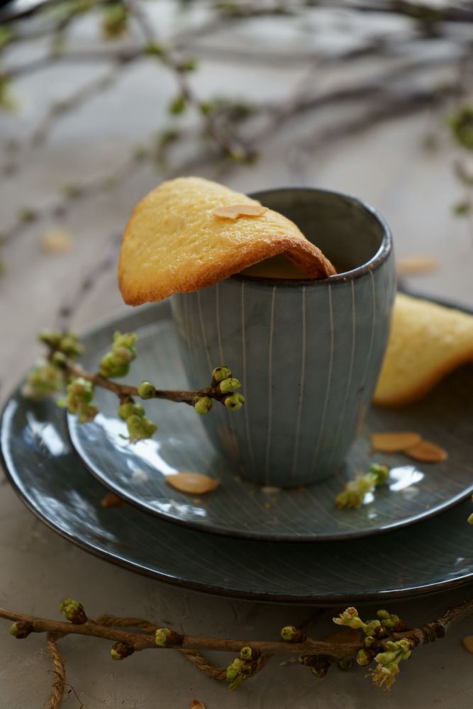 Rezeptbild: Klassische französische Tuiles aux amandes