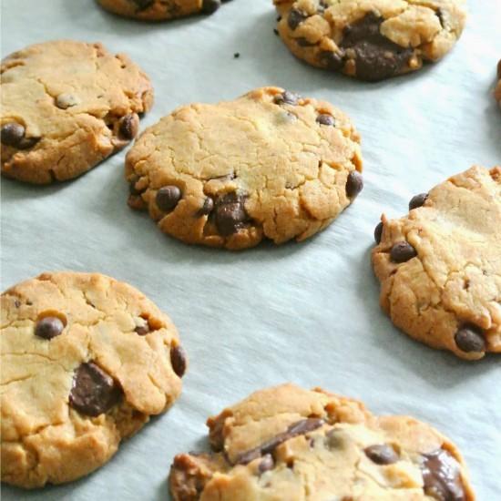 Rezeptbild: Vegane Schoko Cookies