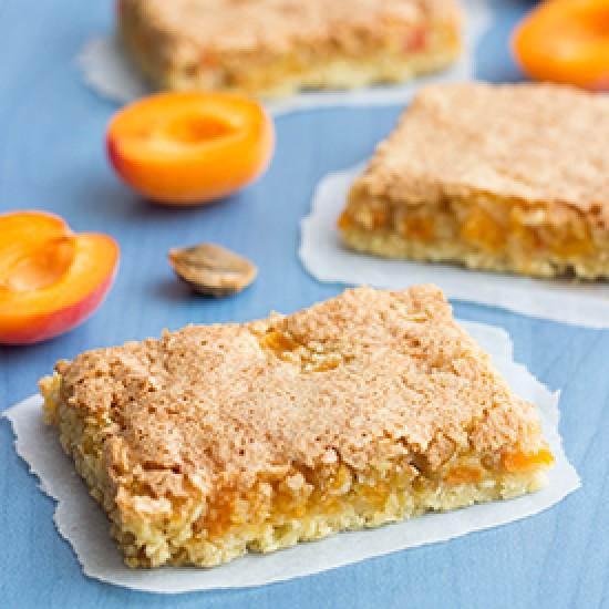 Rezeptbild: Aprikosen-Kokos-Schnitten
