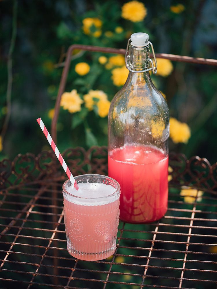 Rezeptbild: Rhabarber Sirup