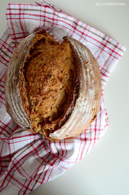 Rezeptbild: Zwei-Burgen-Roggen