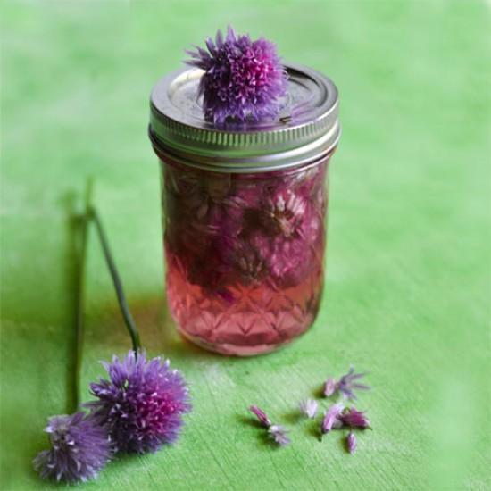 Rezeptbild: Schnittlauchblüten-Essig