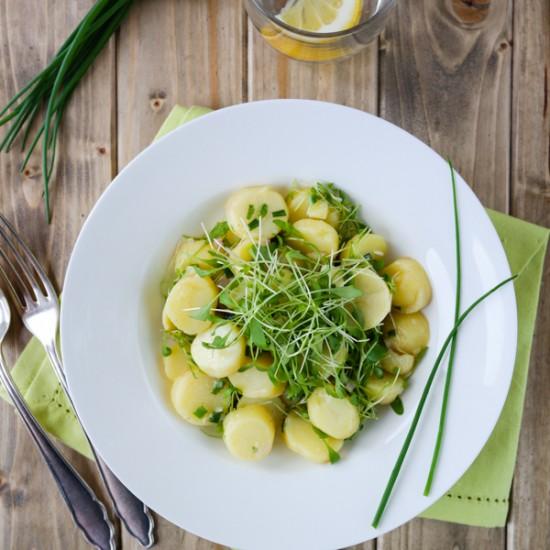Rezeptbild: Kartoffelsalat mit Schnittlauch und Kresse