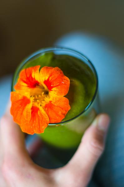 Rezeptbild: Grüner Smoothie
