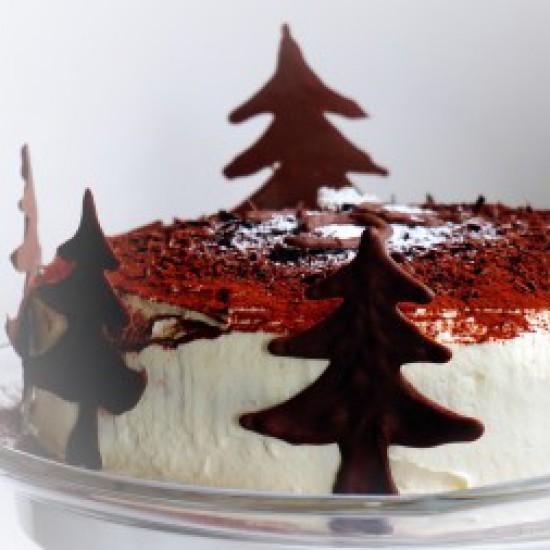 Rezeptbild: Tiramisu-Torte