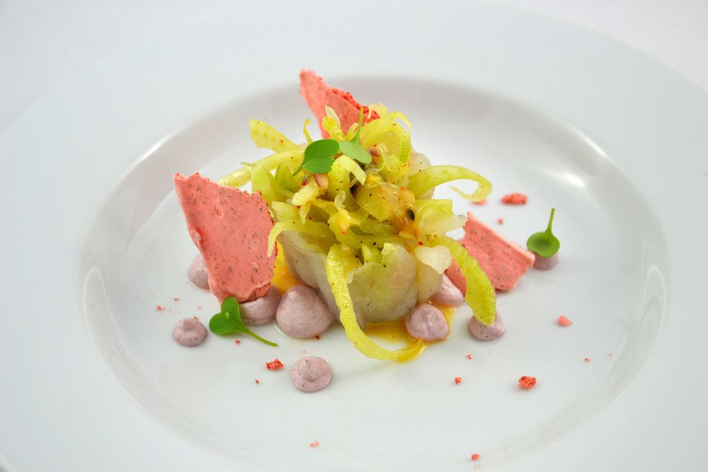 Rezeptbild: Ceviche von der Dorade