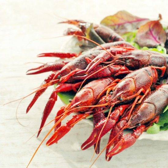 Rezeptbild: Flusskrebse