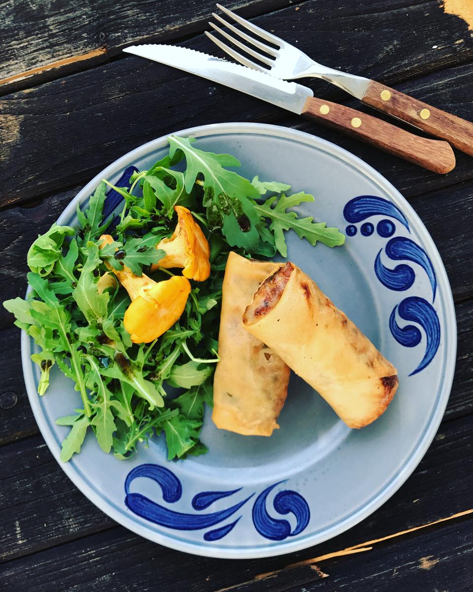 Rezeptbild: Frühlingsrollen mit Eierschwammerl