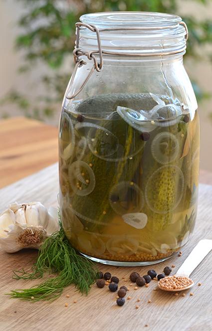 Rezeptbild: Eingelegte Gewürzgurken