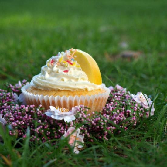 Rezeptbild: Vanille-Cupcakes