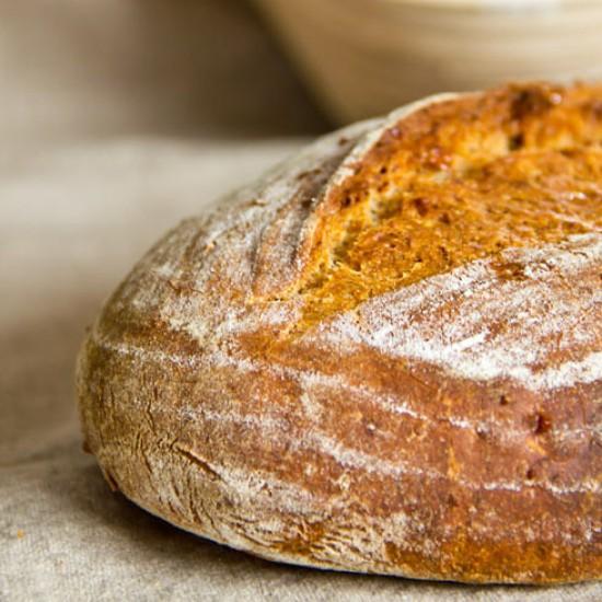 Rezeptbild: Parma-Parmesan-Brot