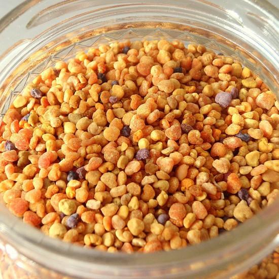 Rezeptbild: Blütenpollen
